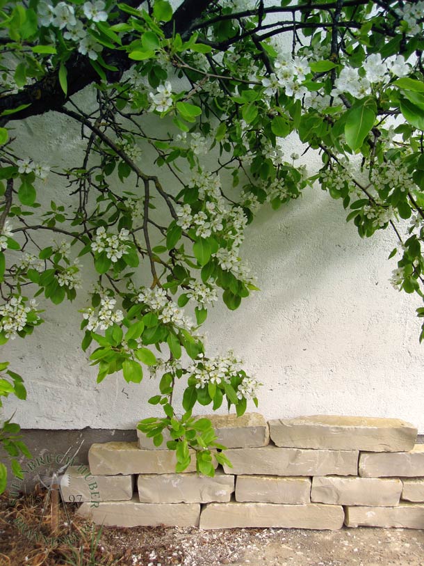 Mauersteine Capri, Kalkstein G